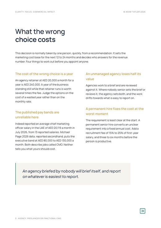 Agency, freelancer or fractional CMO, page 3