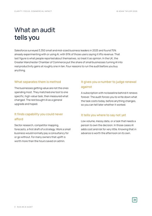 Run an AI audit on your business, page 3