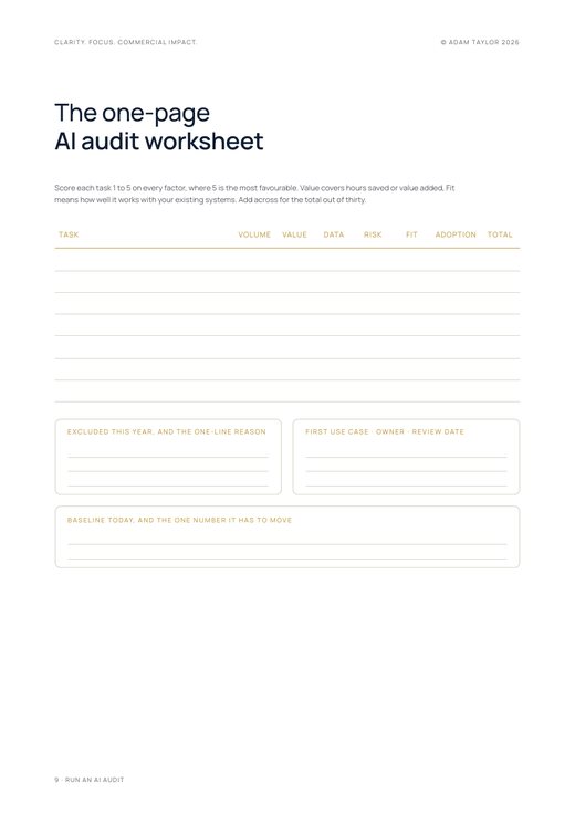 Run an AI audit on your business, page 9